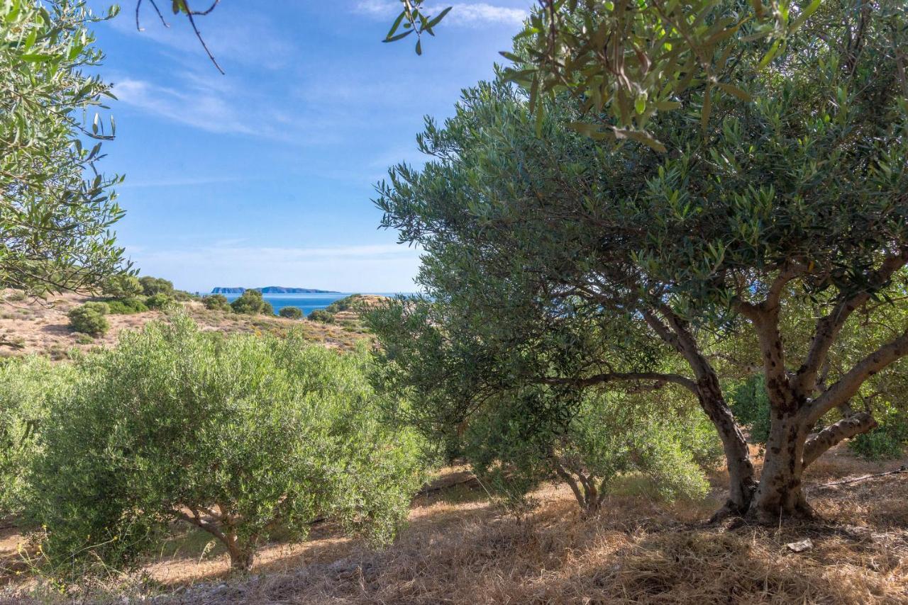 Villa Palma Sitia  Exterior photo